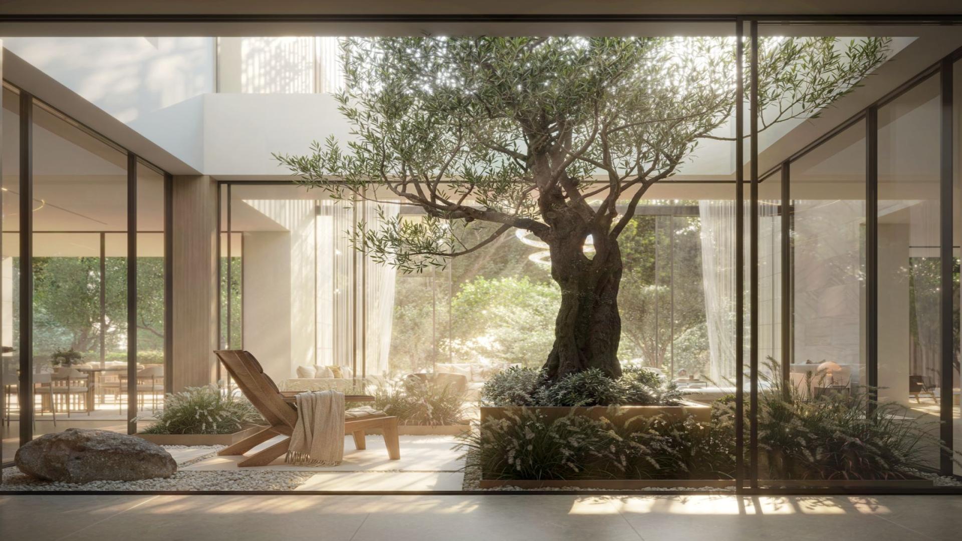 The Wilds Moringa Mansions Dubai 7